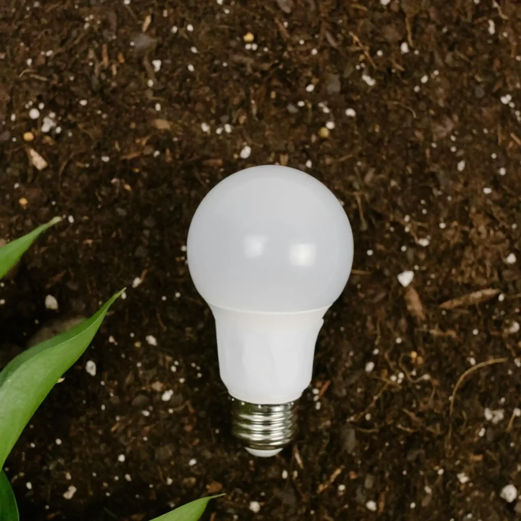 Bombeta LED
